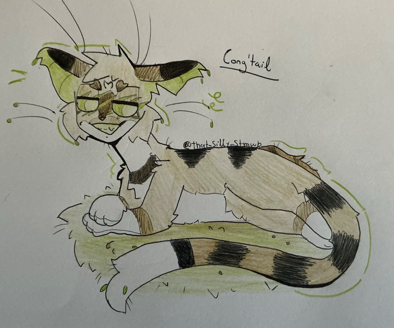 Tessa – Favorite elder challenge