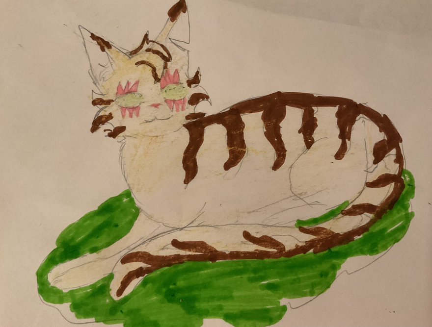 Sunnystar – Favorite elder challenge