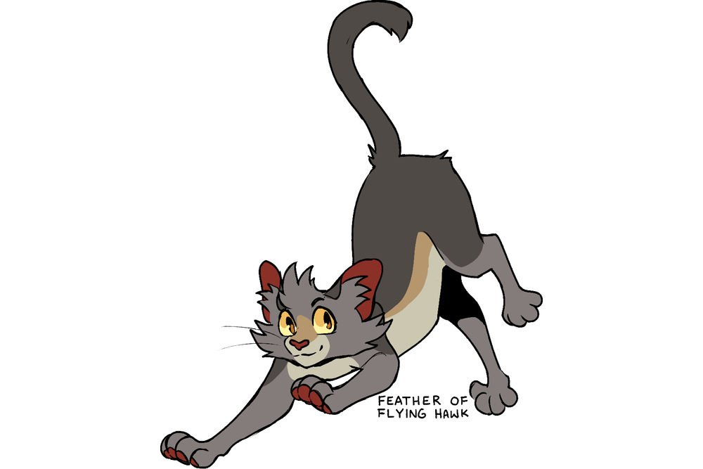 warriorsproject-tumblr-4