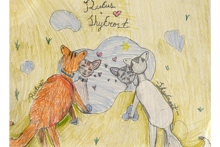 Alice – Rufus and Shyfrost challenge