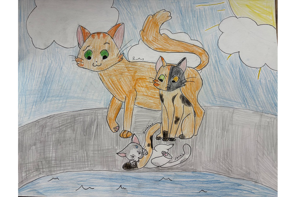 Alisa – Rufus and Shyfrost challenge