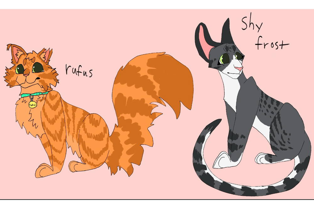 Avery – Rufus and Shyfrost challenge