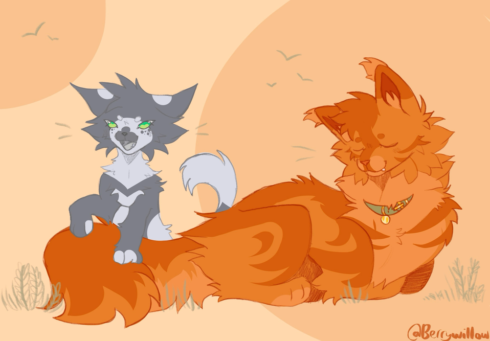 Macy – Rufus and Shyfrost challenge