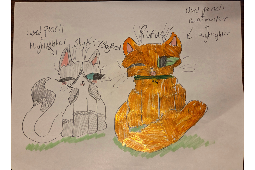 Bonnie – Rufus and Shyfrost challenge