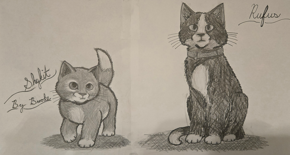 Tigerstripe – Rufus and Shyfrost challenge