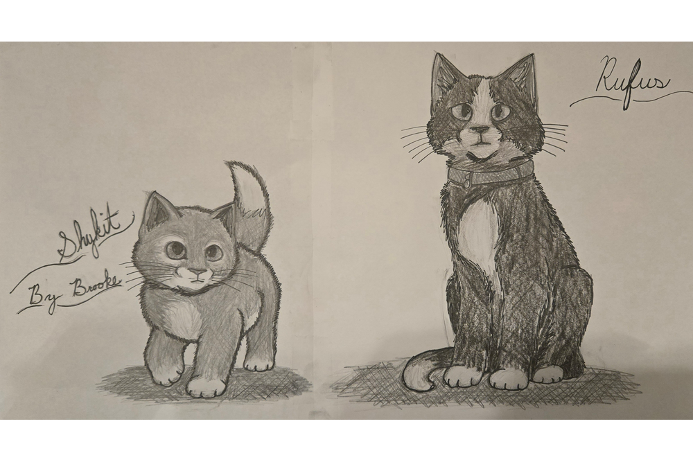 Brooke – Rufus and Shyfrost challenge