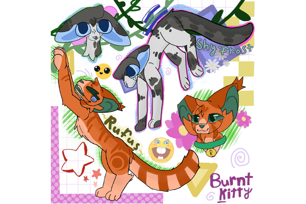 Burnt Kitty – Rufus and Shyfrost challenge