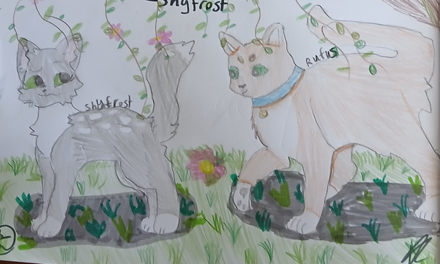 Rosefrost – Rufus and Shyfrost challenge