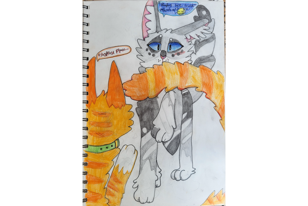 CinderJay – Rufus and Shyfrost challenge