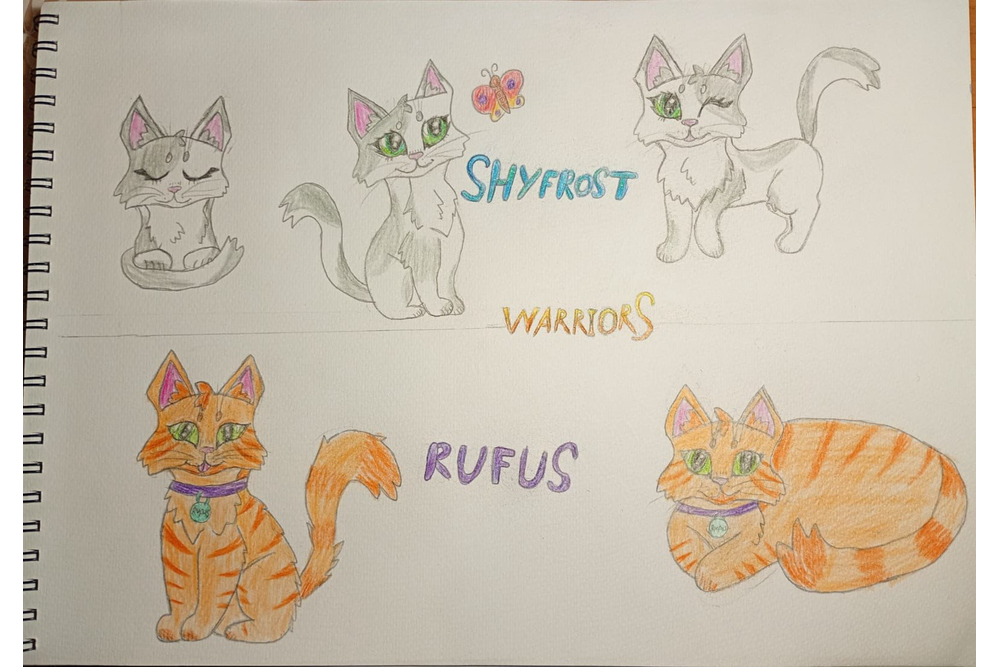 Cometshine – Rufus and Shyfrost challenge