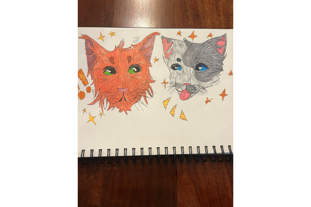 Cora – Rufus and Shyfrost challenge