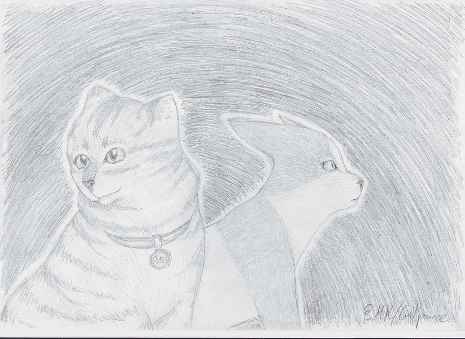 DragonsRule_UnicornsDrool – Rufus and Shyfrost challenge