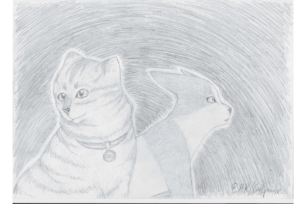 Curlpounce – Rufus and Shyfrost challenge