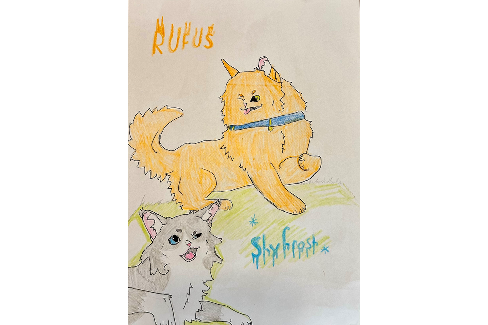 Didi – Rufus and Shyfrost challenge