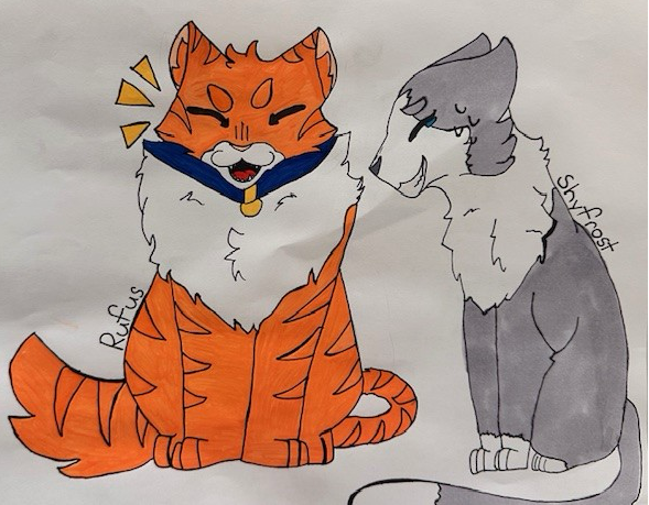 Didi – Rufus and Shyfrost challenge