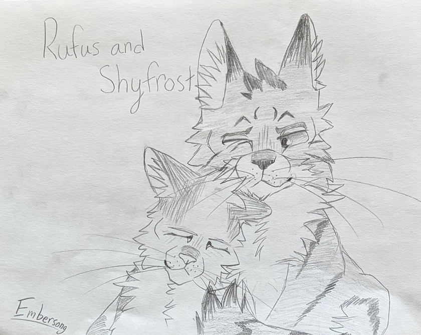 Burnt Kitty – Rufus and Shyfrost challenge