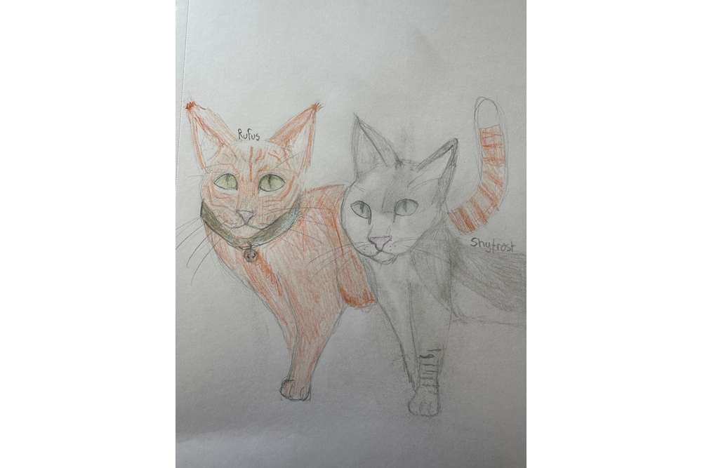 Evie – Rufus and Shyfrost challenge