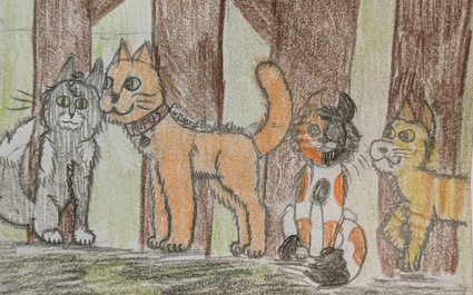 Raining_cats – Rufus and Shyfrost challenge