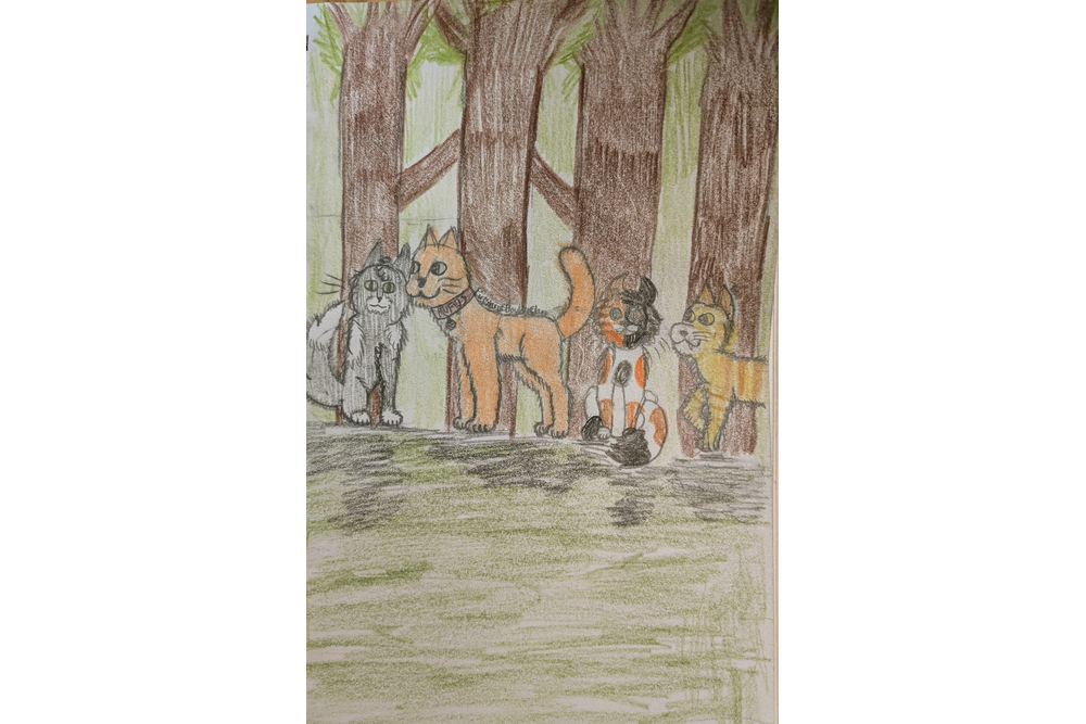 FirestarofBoulderClan – Rufus and Shyfrost challenge