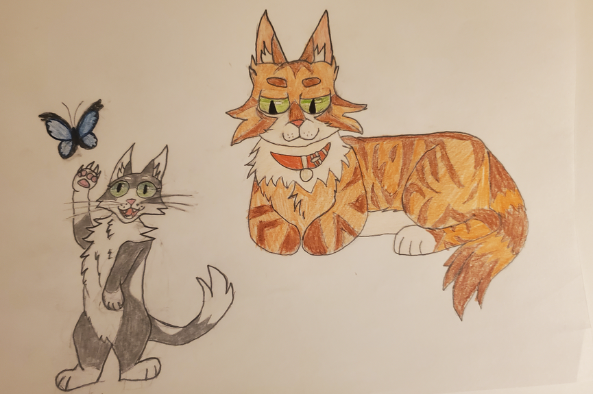 Cometshine – Rufus and Shyfrost challenge
