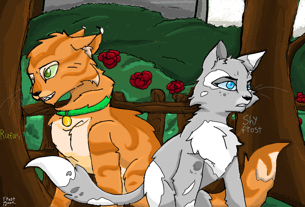 Dawnheart – Rufus and Shyfrost challenge