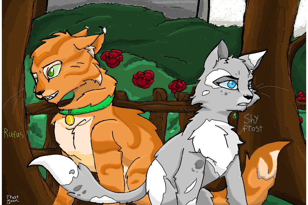 FrostMoon_17 – Rufus and Shyfrost challenge