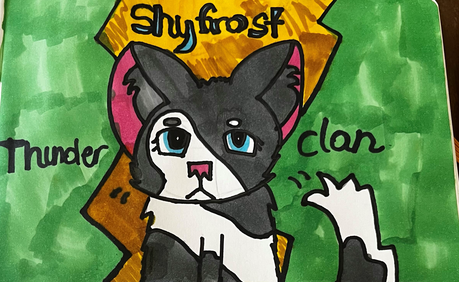 layze_wc – Rufus and Shyfrost challenge