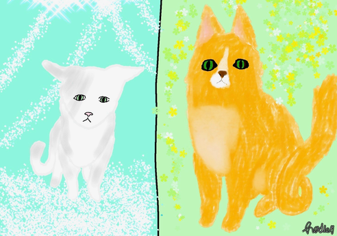 FrostMoon_17 – Rufus and Shyfrost challenge