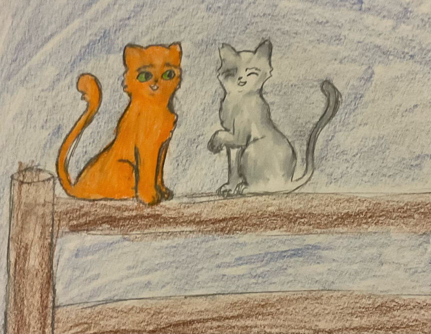 Macy – Rufus and Shyfrost challenge