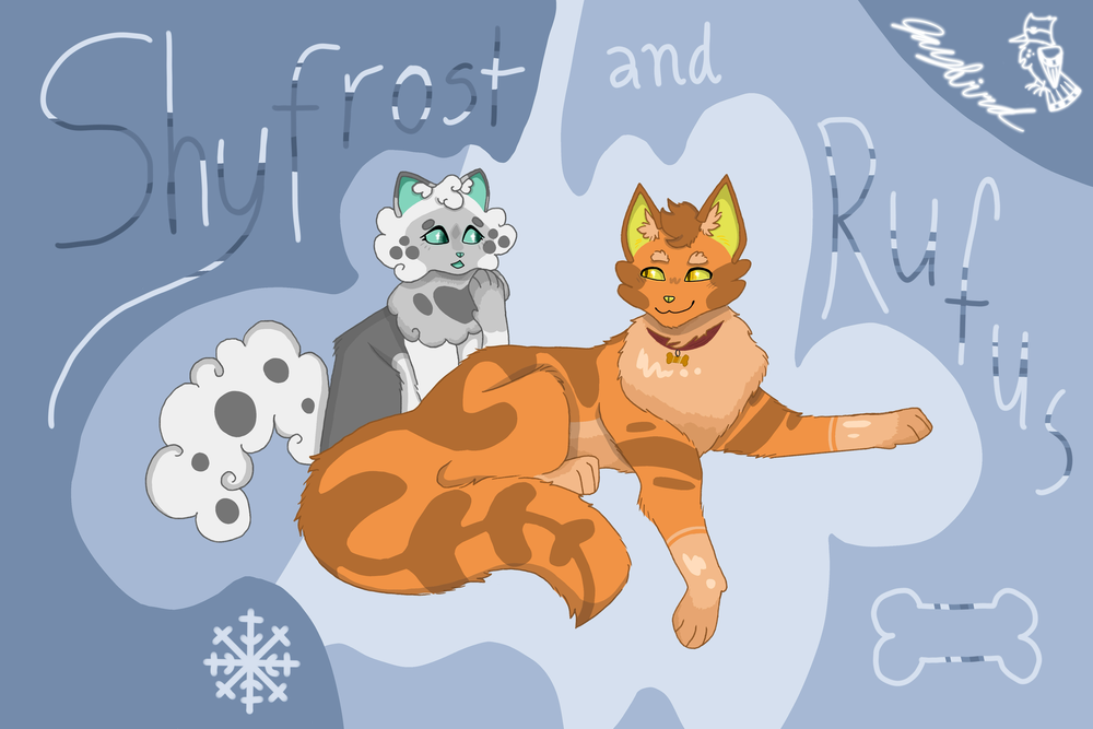 FLYAWAY23 – Rufus and Shyfrost challenge