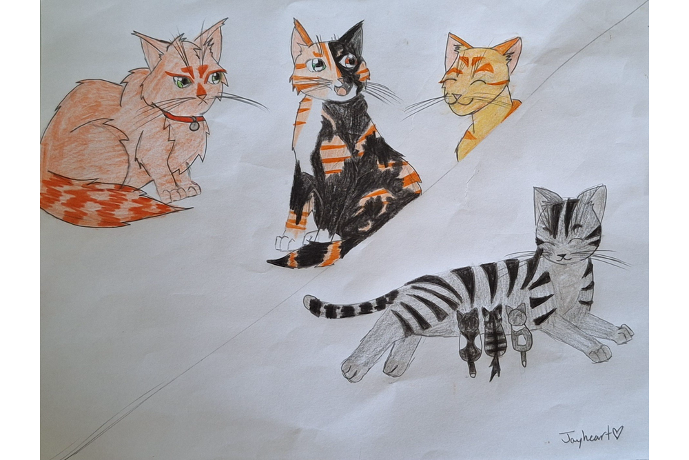 Jayheart – Rufus and Shyfrost challenge