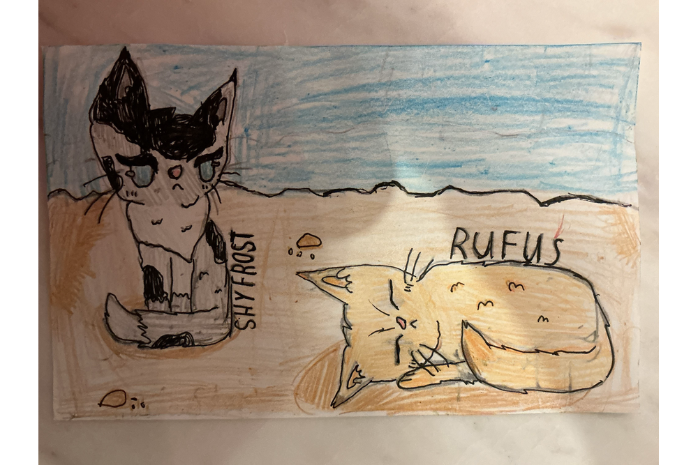 ~Lily_Pad~ – Rufus and Shyfrost challenge