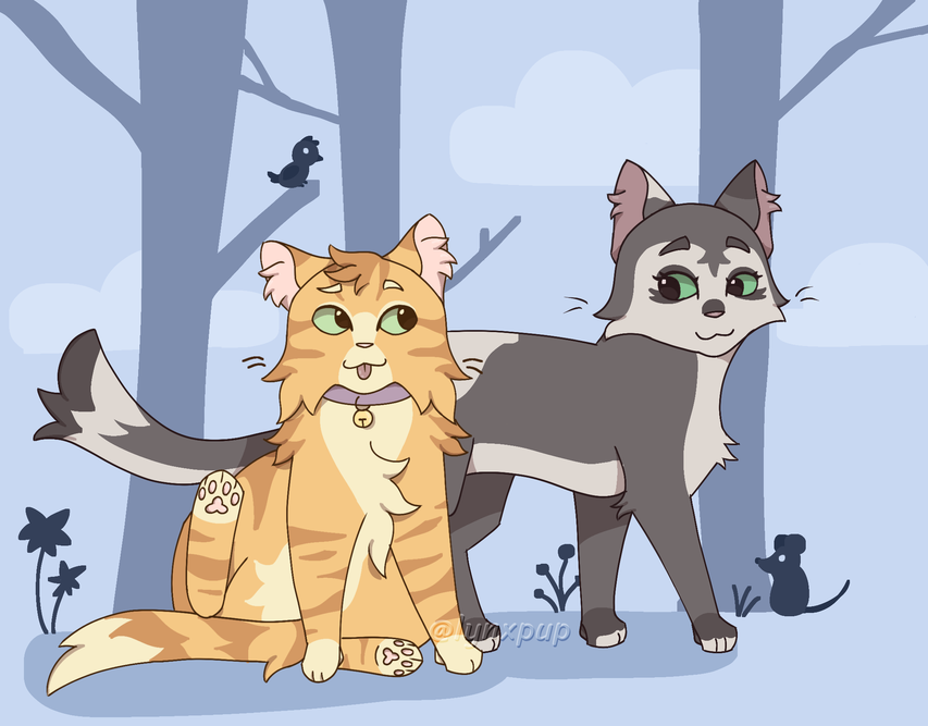 JayBird – Rufus and Shyfrost challenge