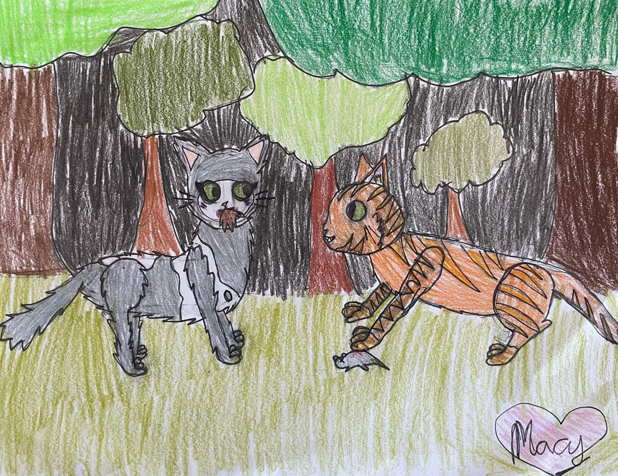 Orchidfur – Rufus and Shyfrost challenge