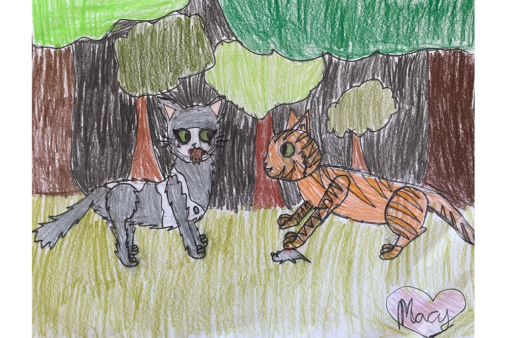 Macy – Rufus and Shyfrost challenge