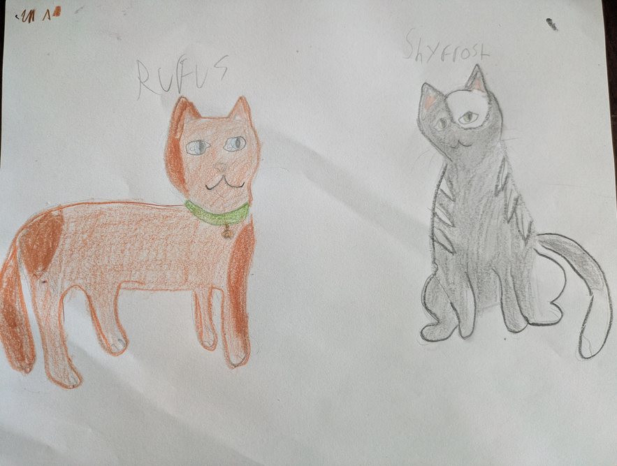 Rosefrost – Rufus and Shyfrost challenge