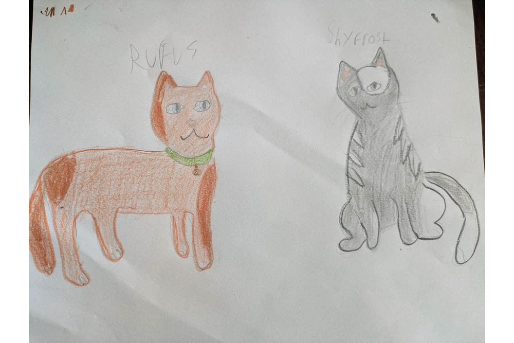 Orchidfur – Rufus and Shyfrost challenge