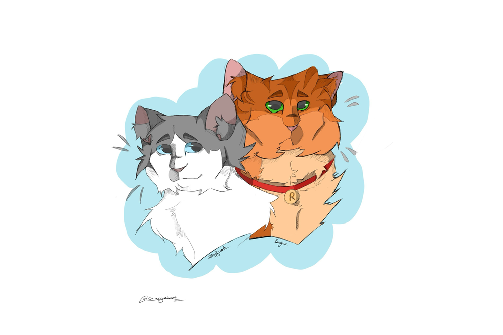 Orxngetoe – Rufus and Shyfrost challenge