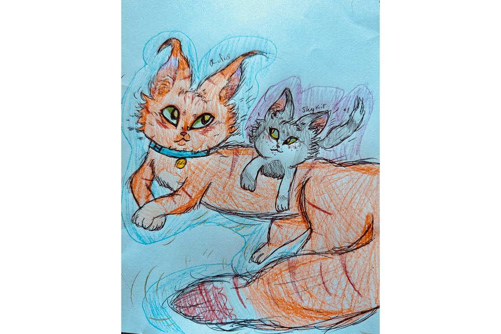 Pohai613 – Rufus and Shyfrost challenge