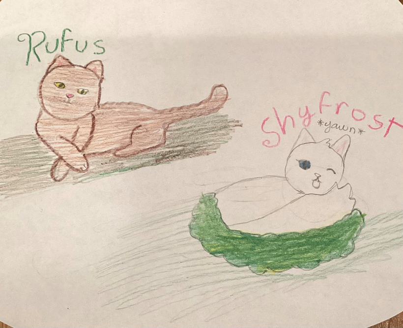 Vivicat – Rufus and Shyfrost challenge