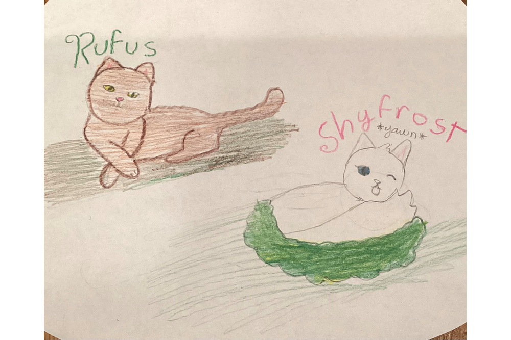 Raining_cats – Rufus and Shyfrost challenge