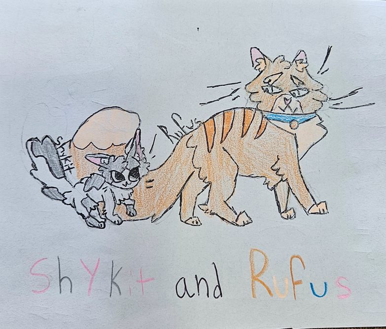 Cora – Rufus and Shyfrost challenge
