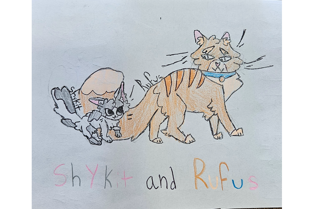 Sageleaf – Rufus and Shyfrost challenge