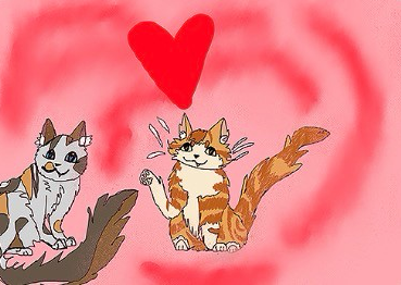 Orchidfur – Rufus and Shyfrost challenge