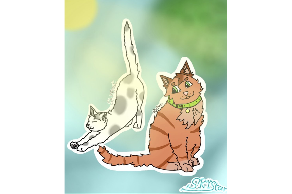 SkyStar – Rufus and Shyfrost challenge