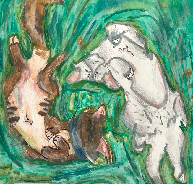 Pohai613 – Rufus and Shyfrost challenge