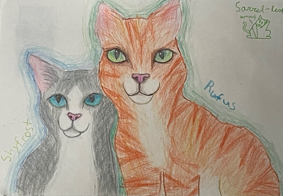 Sofie – Rufus and Shyfrost challenge