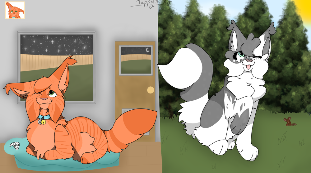 Pinespots – Rufus and Shyfrost challenge