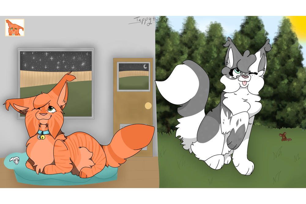 TappytheKat – Rufus and Shyfrost challenge