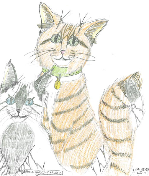 squid – Rufus and Shyfrost challenge